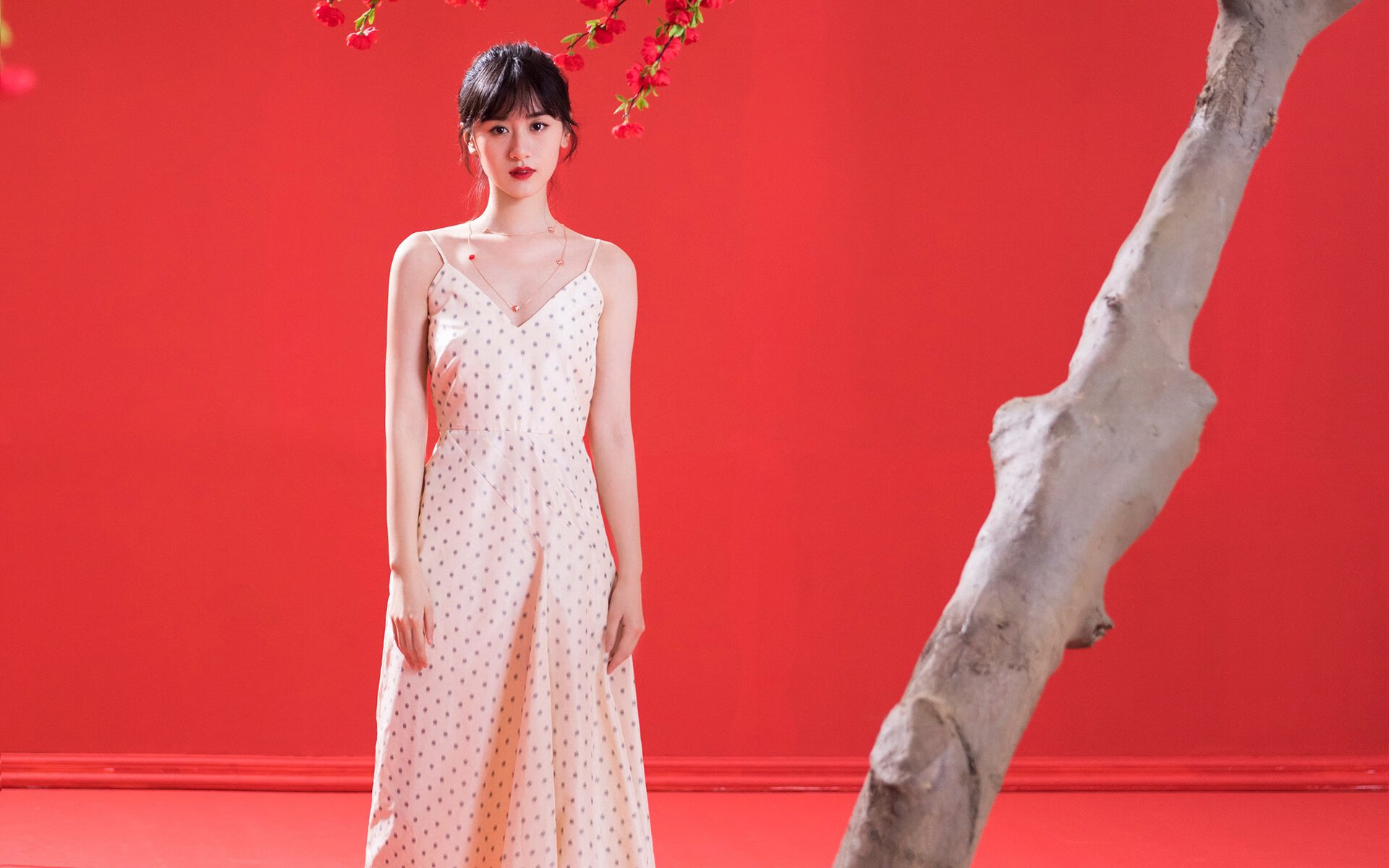 _海洋运动嘉年华：冲浪、潜水一站式体验_，海洋馆 潜水表演