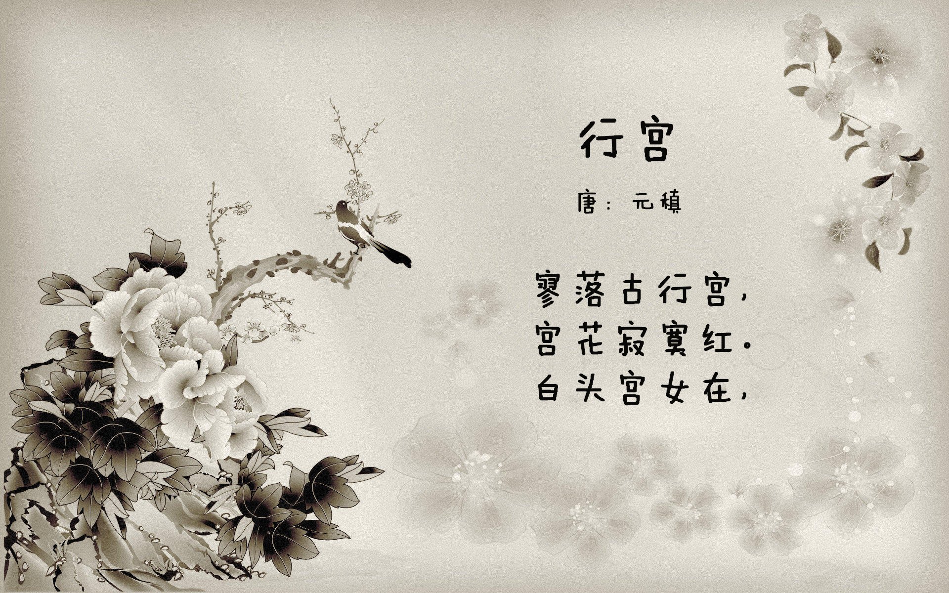 荷兰骑手 Maikel van der Vleuten 在巴黎奥运会个人障碍赛中荣获铜牌，与马匹 Beauville Z 一同创造历史。