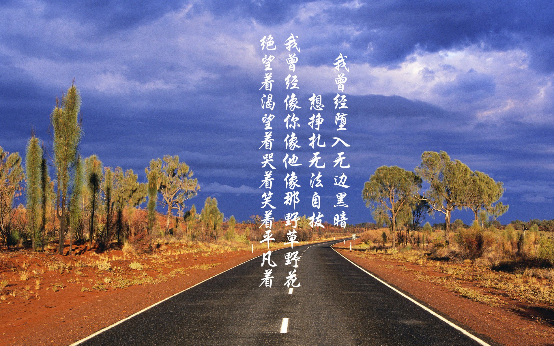 匈牙利队备战正酣，欧锦赛备受瞩目，匈牙利欧洲区预选赛