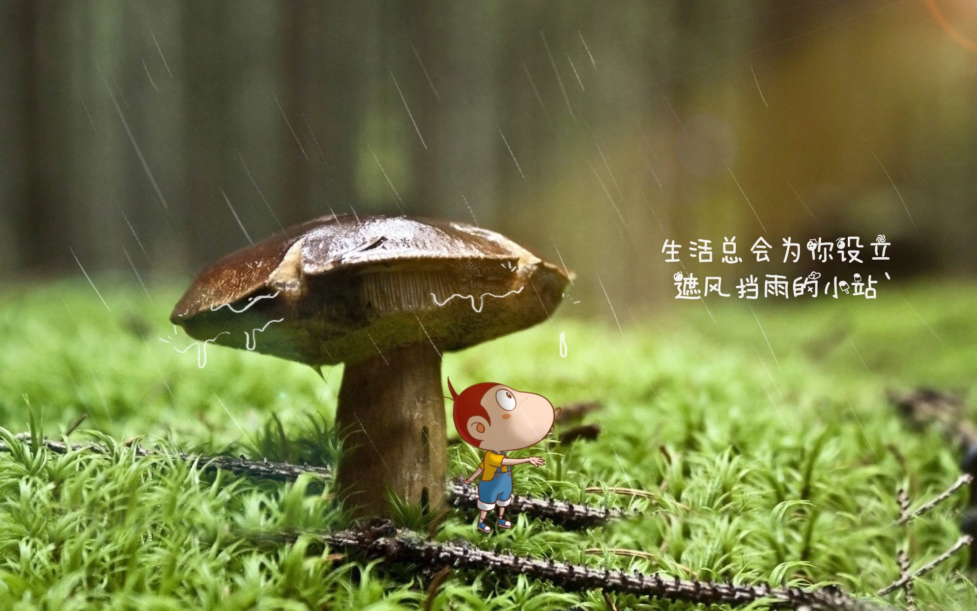 爱游戏娱乐平台-快船全面发力击败雷霆，快船正式与雷霆达成交易